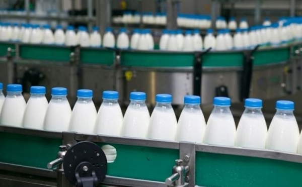 «Казанский молочный комбинат» станет крупнейшим в РФ молокоперерабатывающим заводом