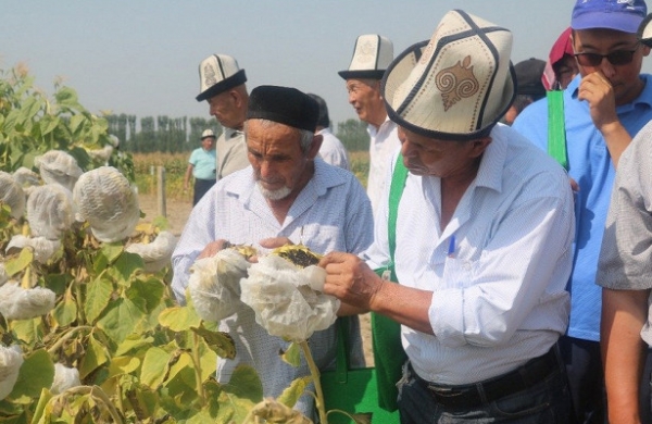 <br />
Российские ученые-семеноводы помогут фермерам на юге Киргизии<br />
