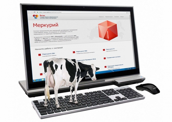 Оформление электронных документов на молочную продукцию в ФГИС «Меркурий»
