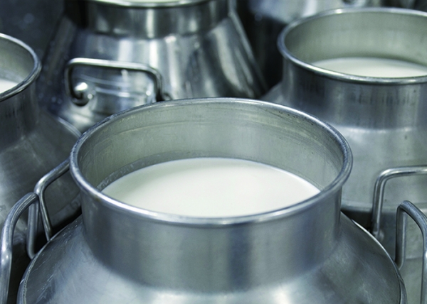 На Сахалине увеличат закупочные цены на молоко